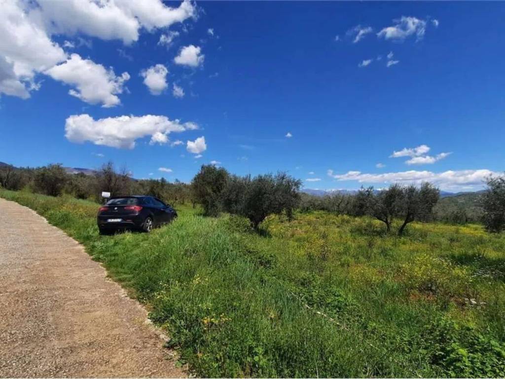 Terreno a Monte san giovanni campano - Foto 3