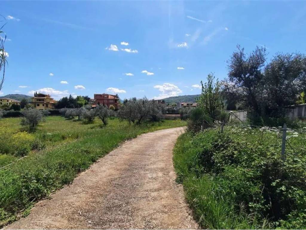 Terreno a Monte san giovanni campano - Foto 4