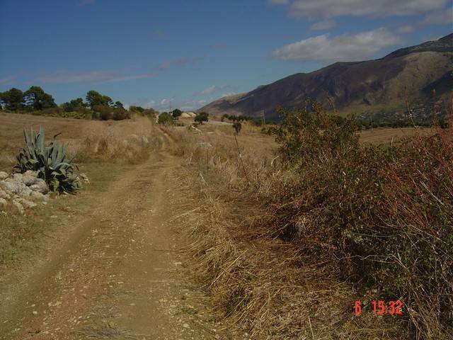 Terreno a Castellammare del golfo in Contrada Balata di Baida - Foto 3