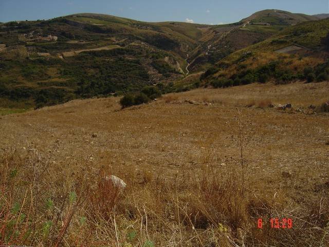 Terreno a Castellammare del golfo in Contrada Balata di Baida - Foto 5