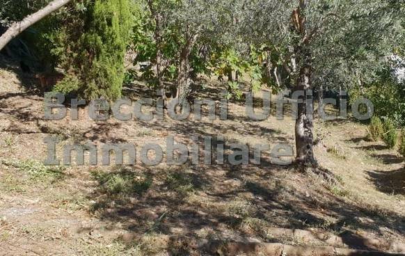 Rustico / casale a Trevi in Località Città - Foto 3