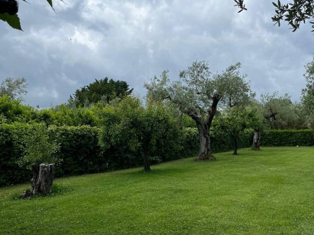 Terreno a Montefiascone in Via del Lago - Foto 4