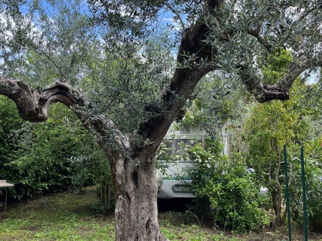Terreno a Montefiascone in Via del Lago - Foto 5