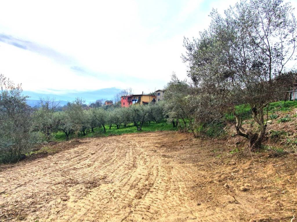 Villa a Paliano in Via Palianese Sud, 46 - Foto 5