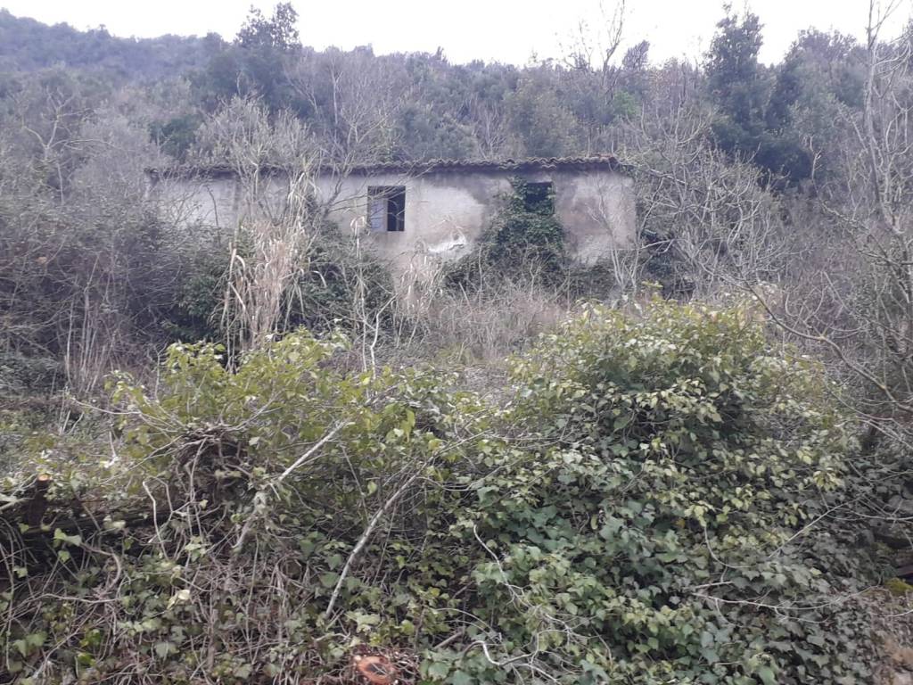 Rustico / casale a Patrica in Via Celleta - Foto 2
