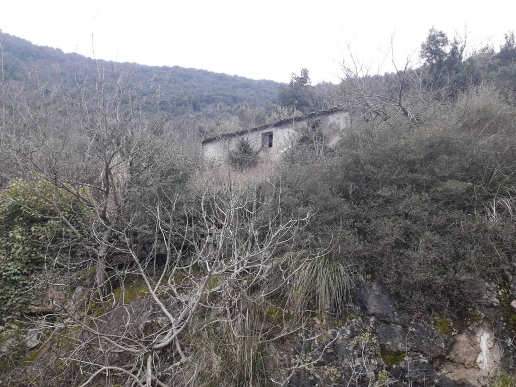 Rustico / casale a Patrica in Via Celleta - Foto 3