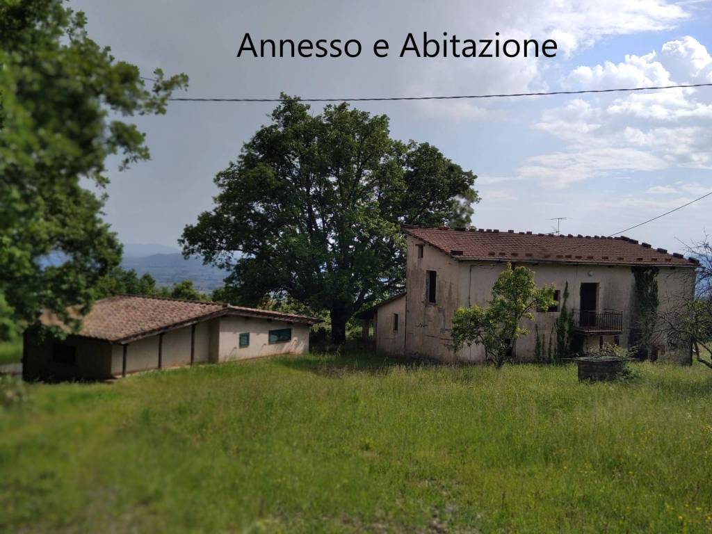 Rustico / casale a Roccastrada in Località Le Coste - Foto 2