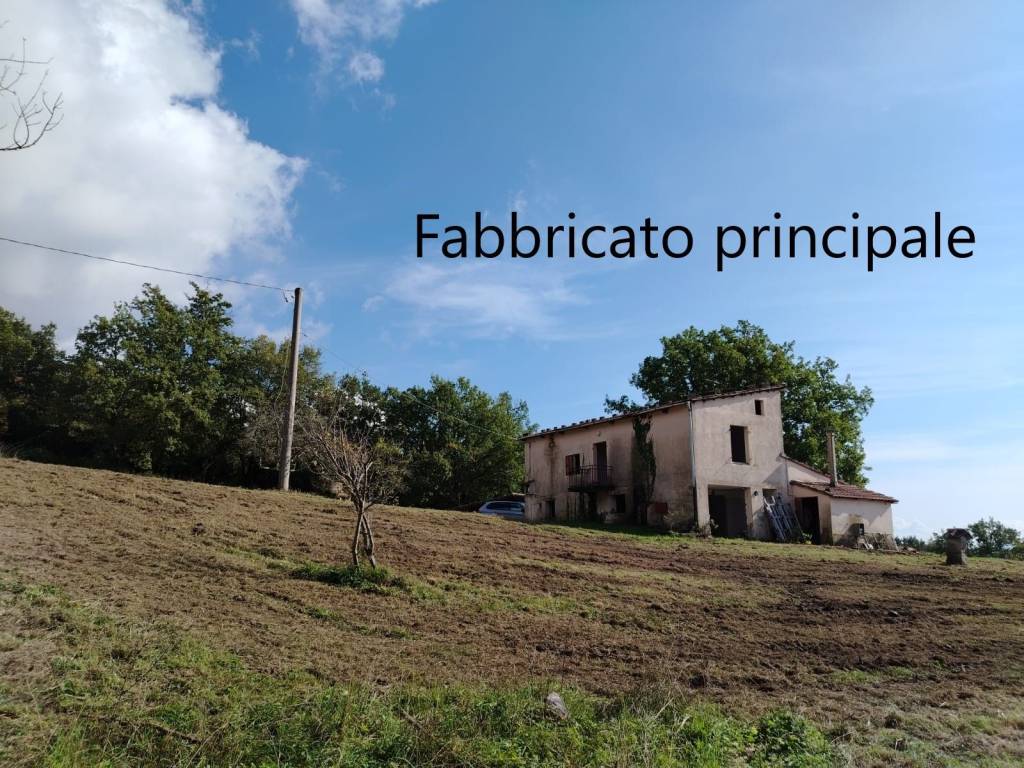 Rustico / casale a Roccastrada in Località Le Coste - Foto 4