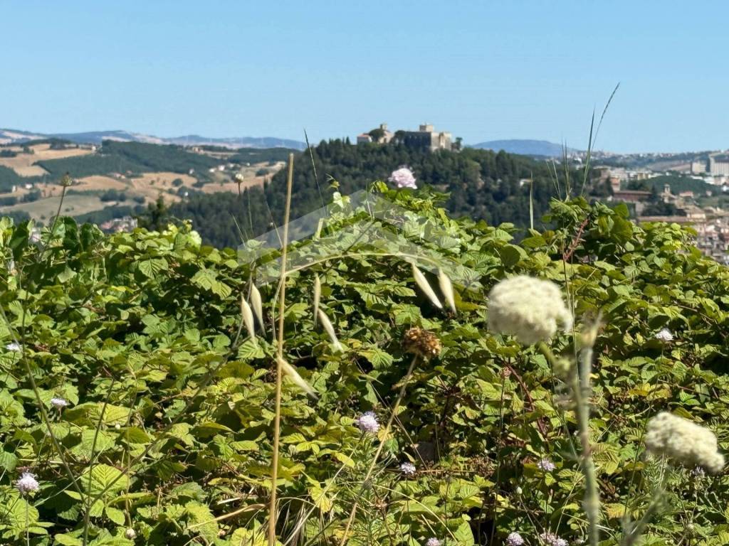 Terreno a Campobasso in C.da Cese - Foto 5