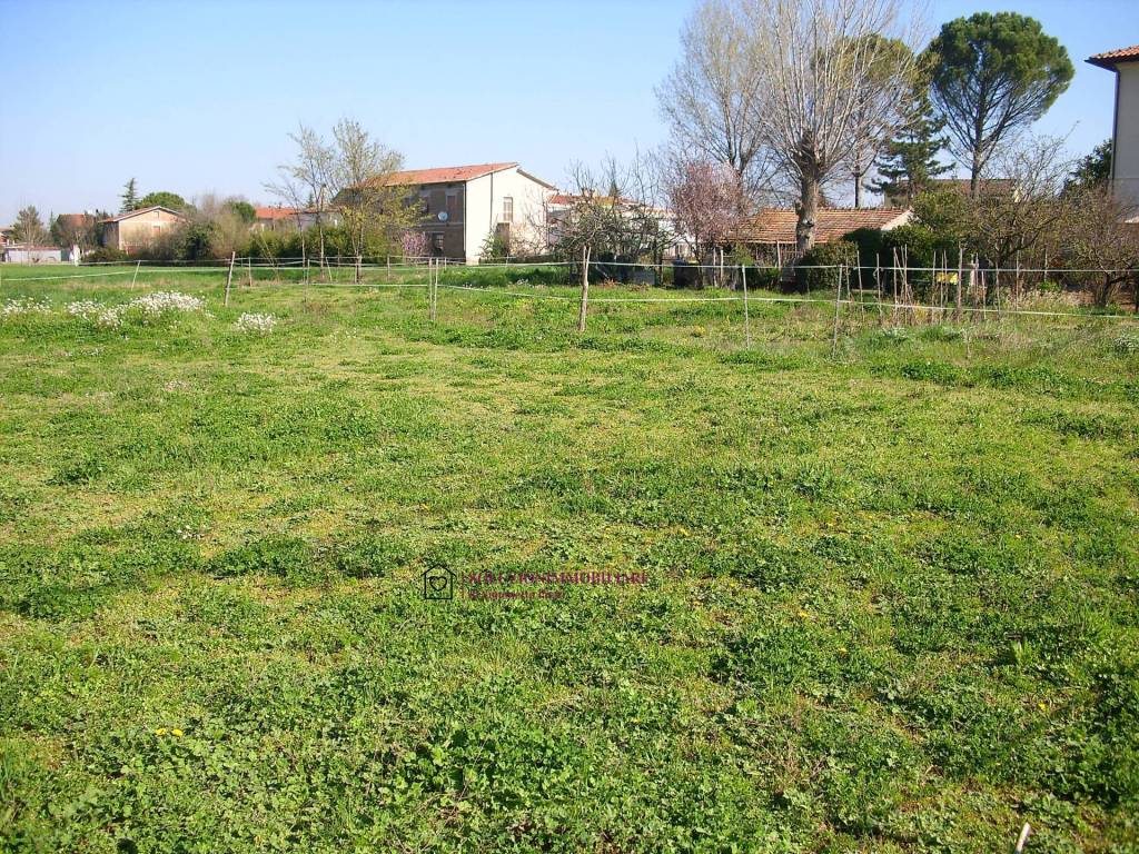 Terreno a Cannara in via Santa Elisabetta - Foto 3