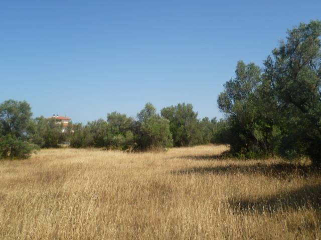 Terreno a Lanciano in Contrada Villa Andreoli - Foto 5