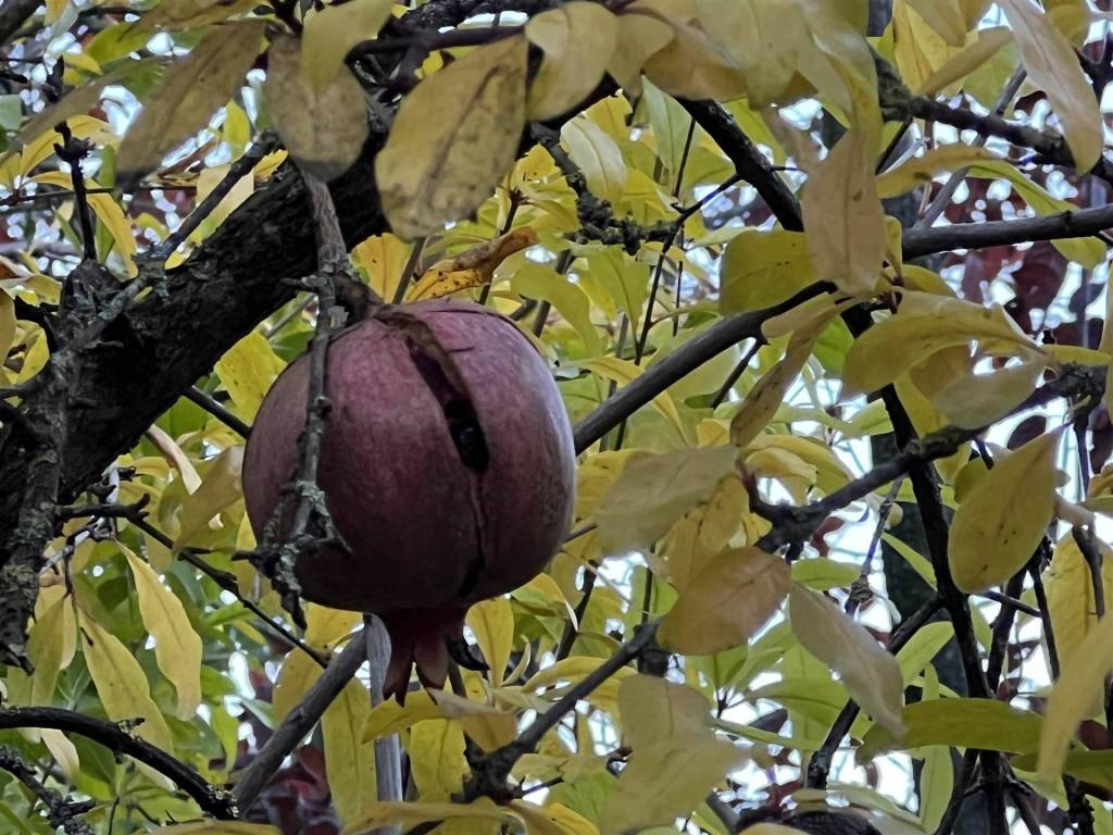 Appartamento a Piacenza - Foto 5