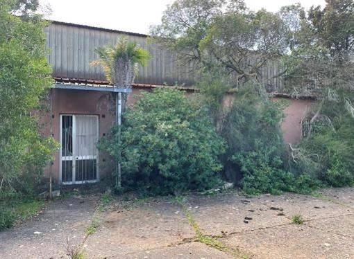 Immobile a Iglesias in Località Miniera Campo Pisano - Foto 4