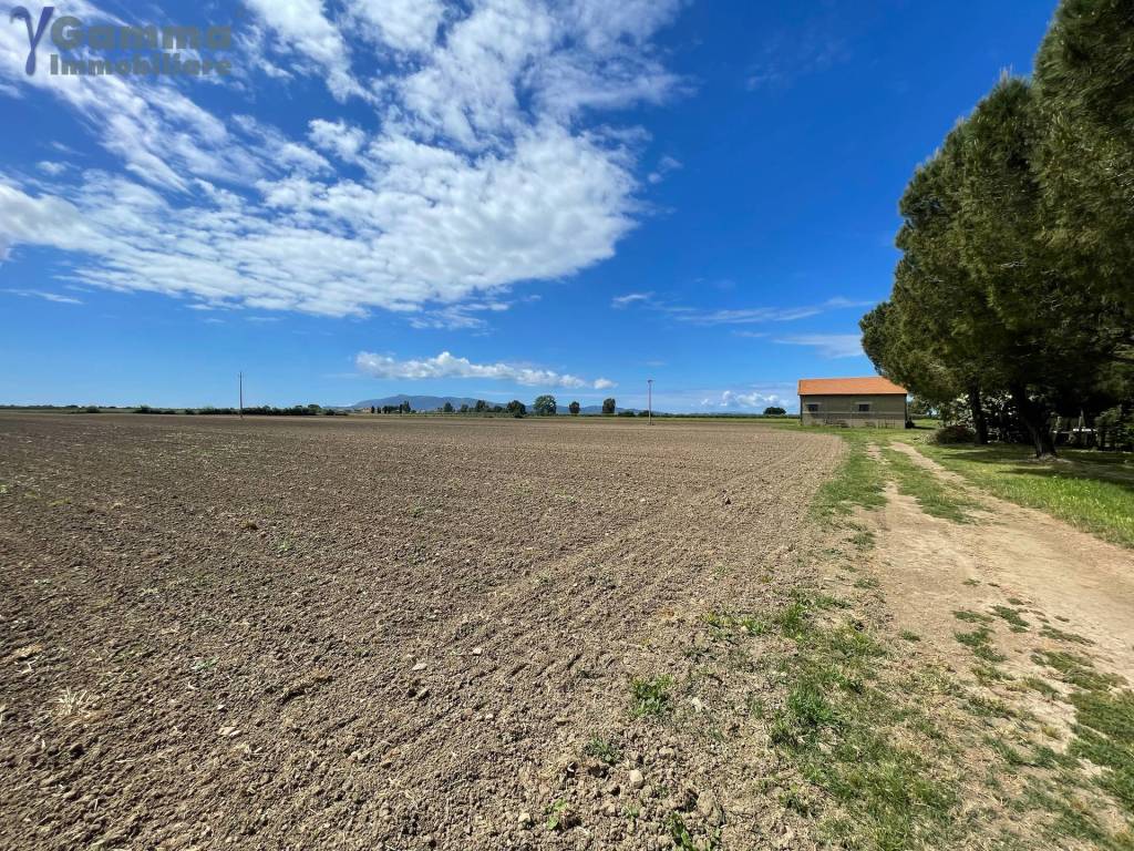 Immobile a Orbetello in Strada Provinciale San Donato - Foto 5