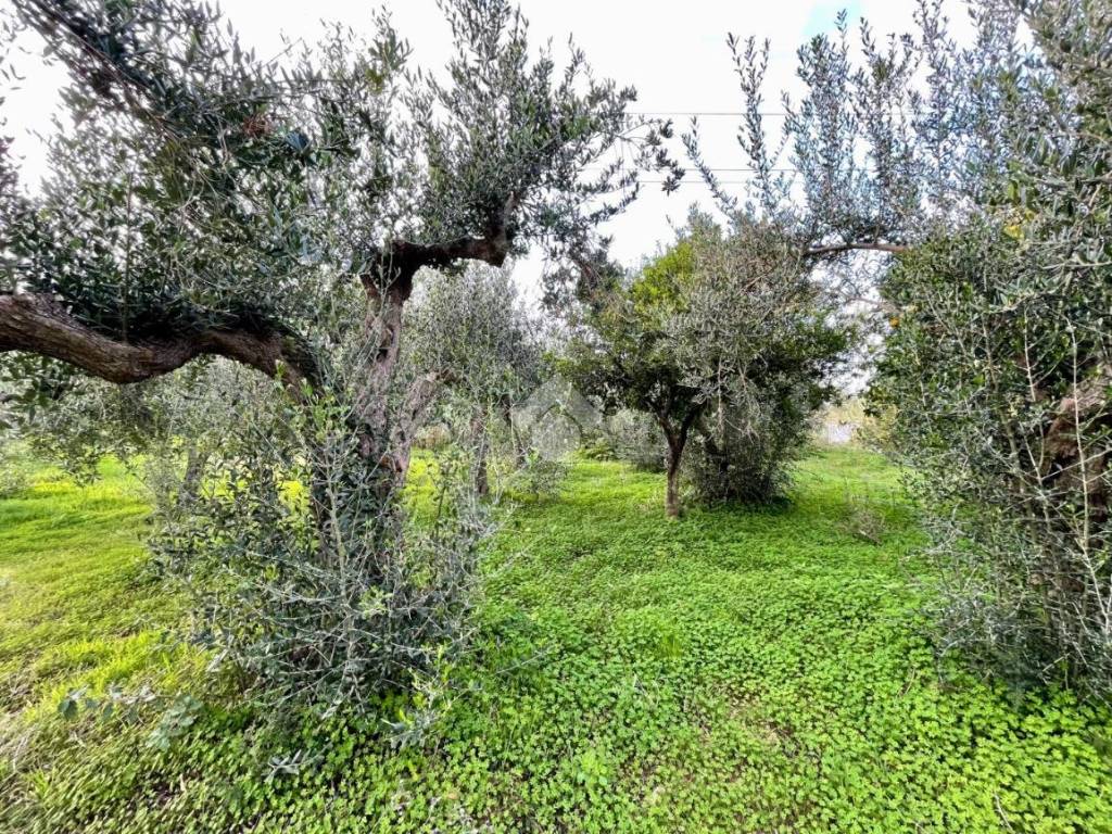 Casa indipendente a Castellammare del golfo in Contrada Fraginesi - Foto 4