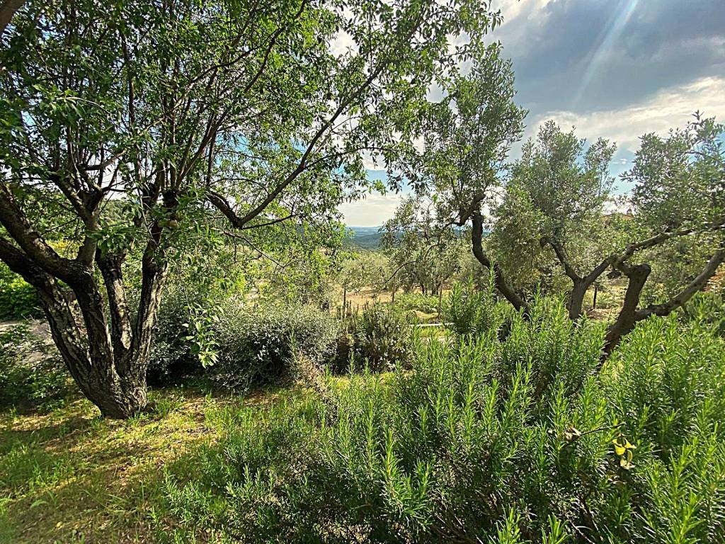 Villa a Roccastrada in Strada Provinciale Terzo - Foto 4