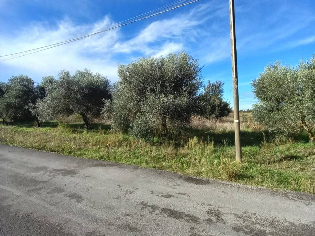 Terreno a Aprilia in Via dei Melograni - Foto 2