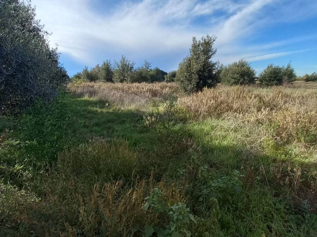 Terreno a Aprilia in Via dei Melograni - Foto 4