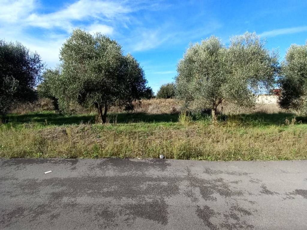 Terreno a Aprilia in Via dei Melograni - Foto 5