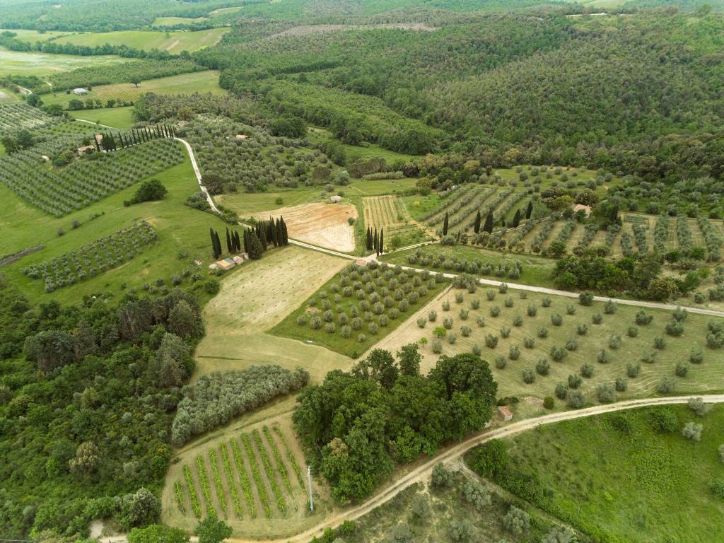 Rustico / casale a Roccastrada in Strada Provinciale Terzo - Foto 4