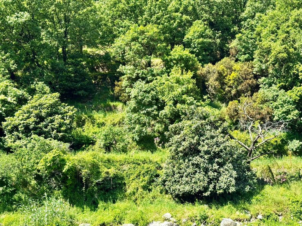 Appartamento a Varazze in Via Emilio Vecchia, 22 - Foto 4