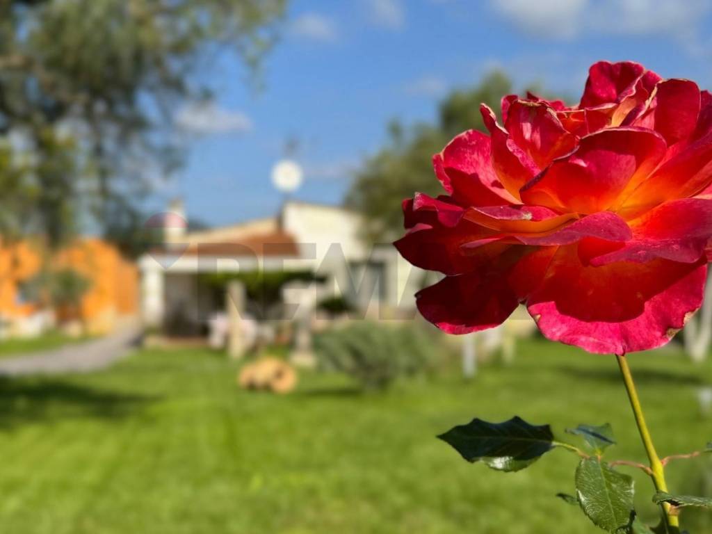 Casa indipendente a Dolianova in Strada Comunale De Is Montis - Foto 2