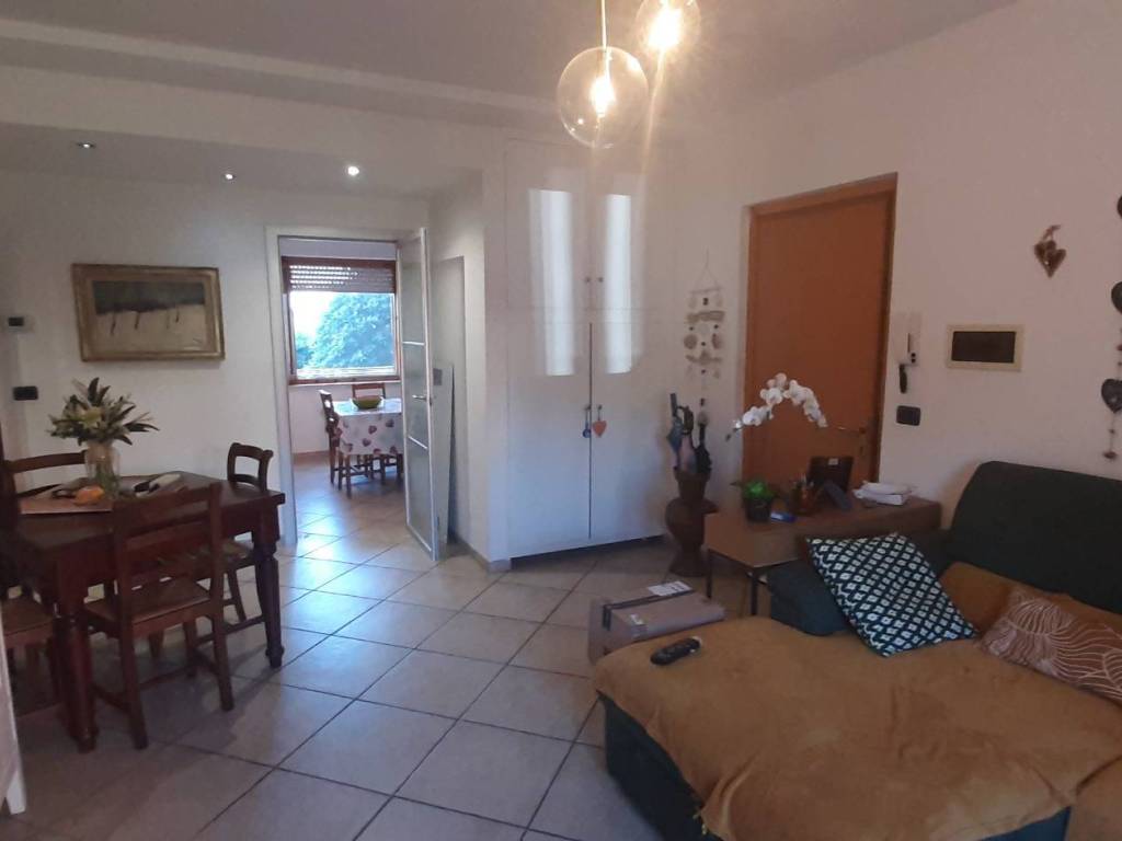 Appartamento a Rosignano marittimo - Foto 4