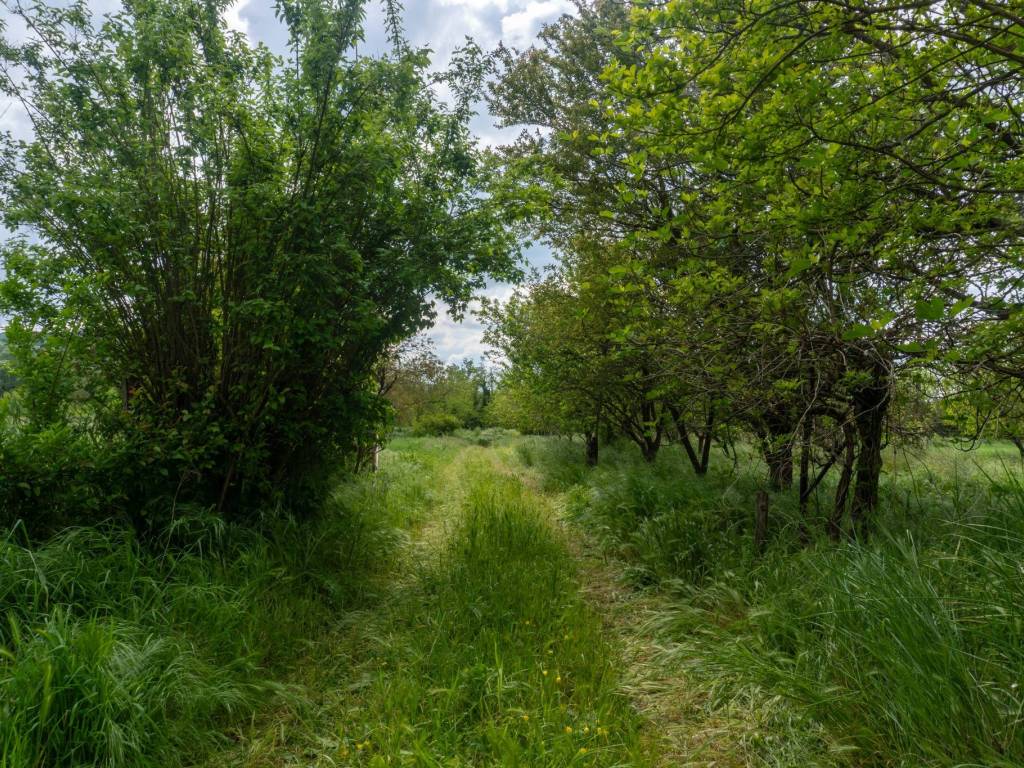 Rustico / casale a Acqui terme in Borgata Barbato - Foto 3