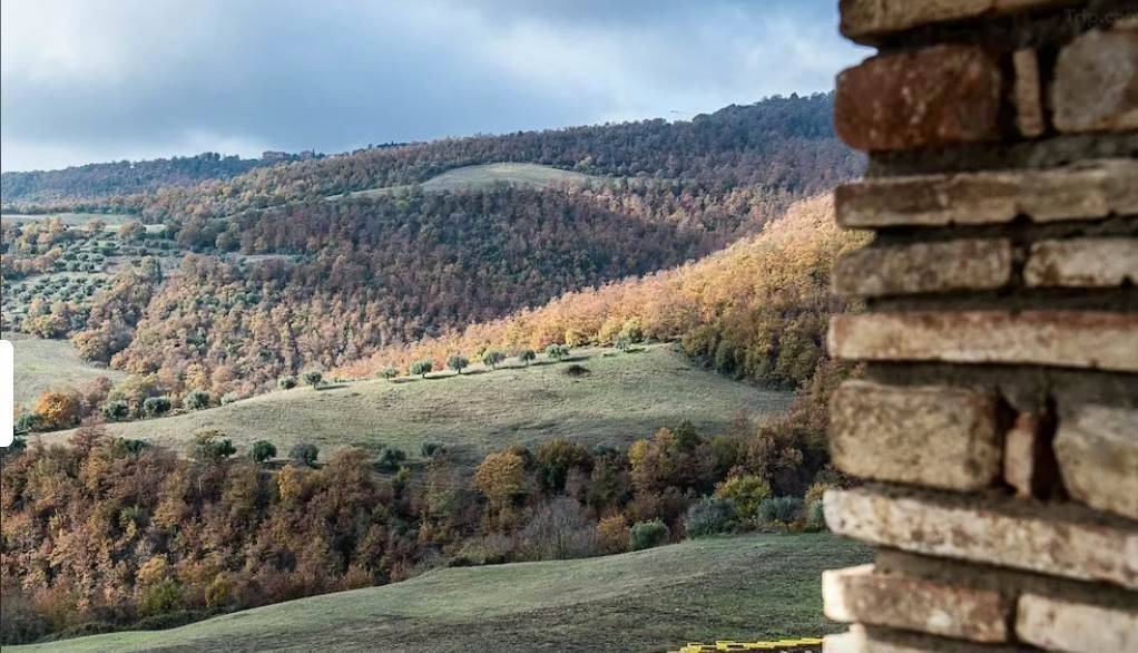 Immobile a Passignano sul trasimeno - Foto 5