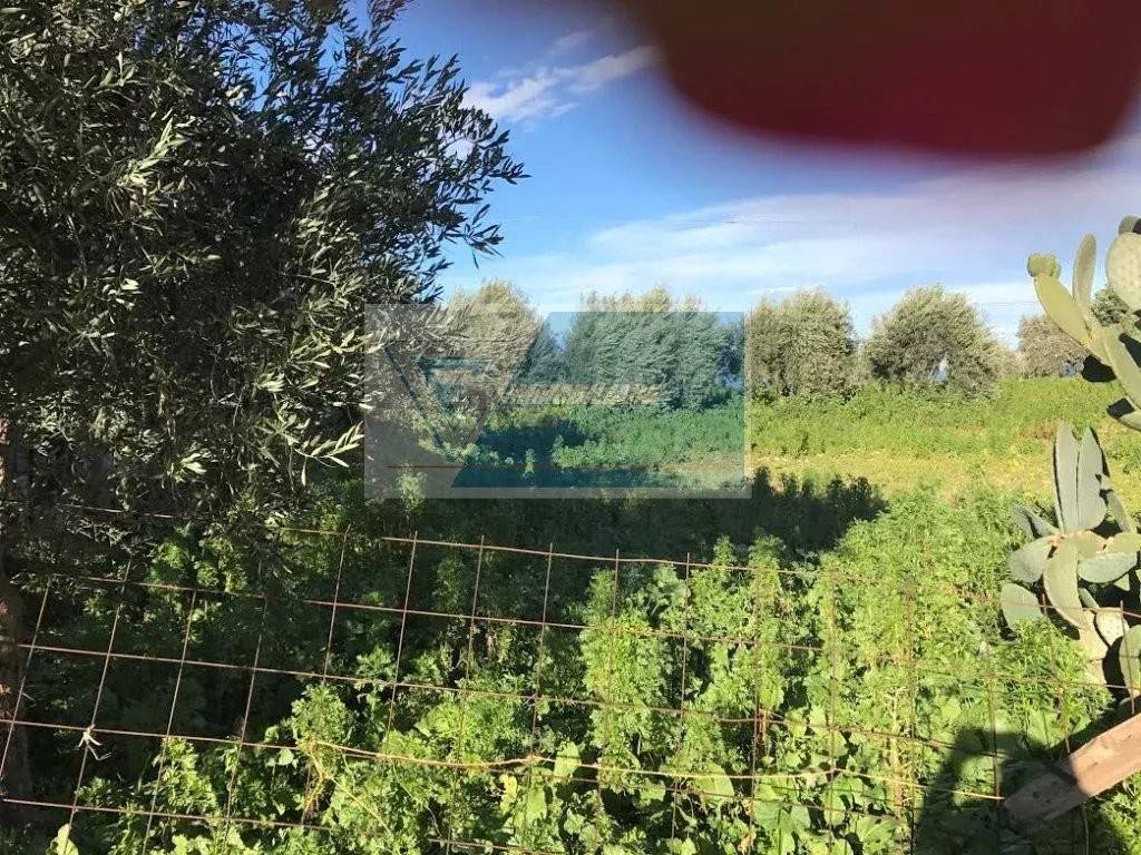 Terreno a Melilli in C.da Spalla - Foto 5