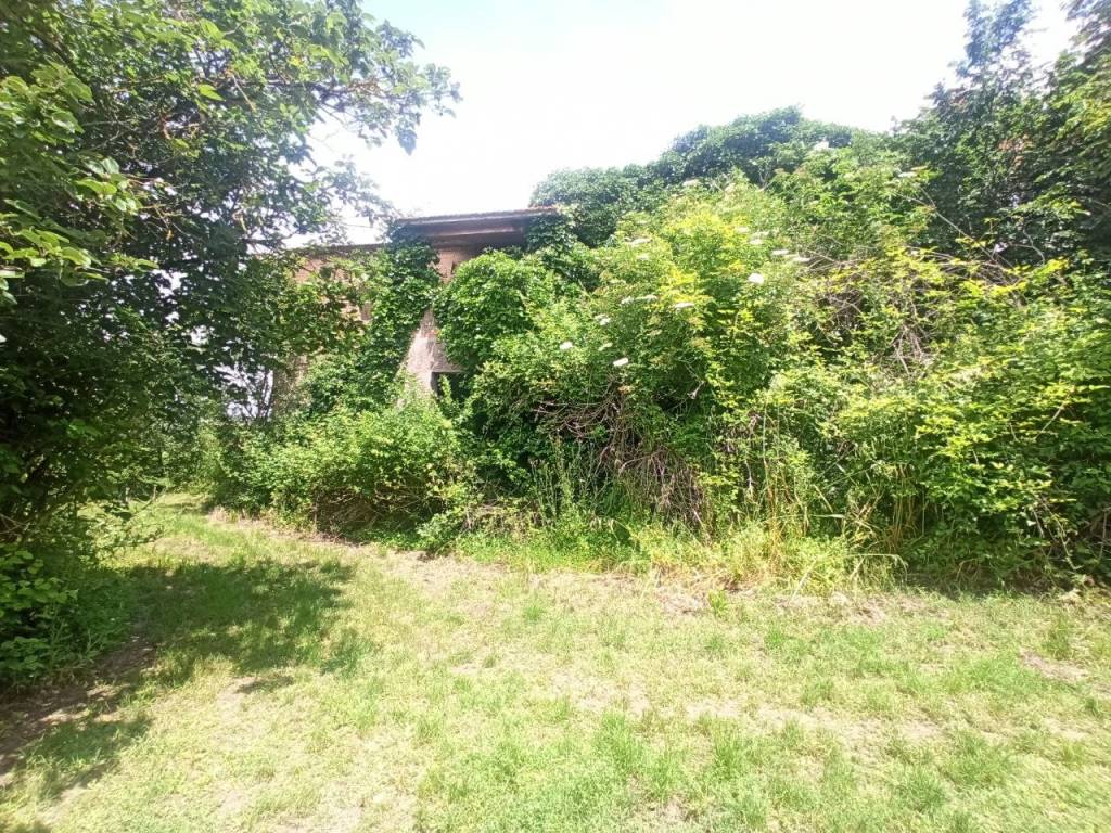 Rustico / casale a Castiglione del lago - Foto 5