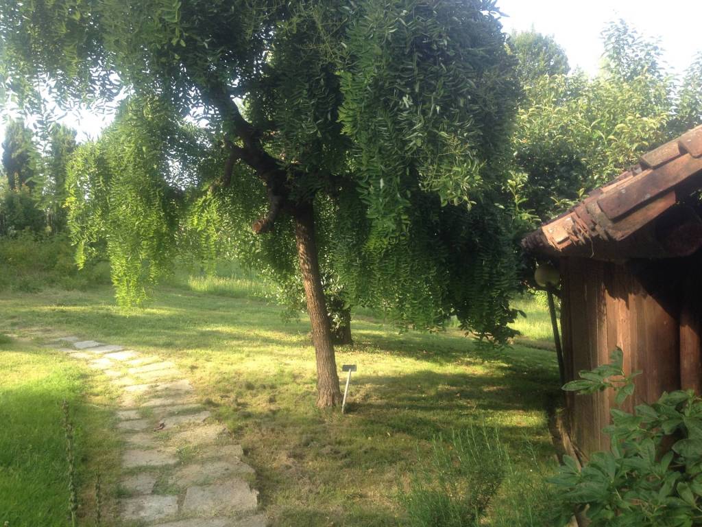 Villa a Sommariva perno in Località Piano, 19 - Foto 5