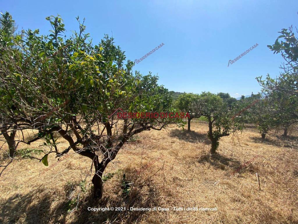 Terreno a Lascari in Contrada Piane Vecchie - Foto 2