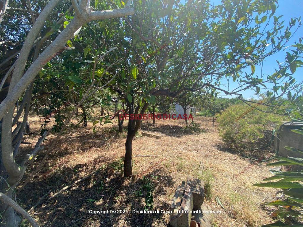 Terreno a Lascari in Contrada Piane Vecchie - Foto 4