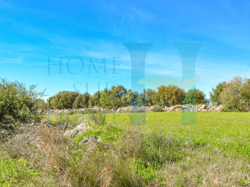 Terreno a Noto in Via Tommaso Fazello, 228 - Foto 3