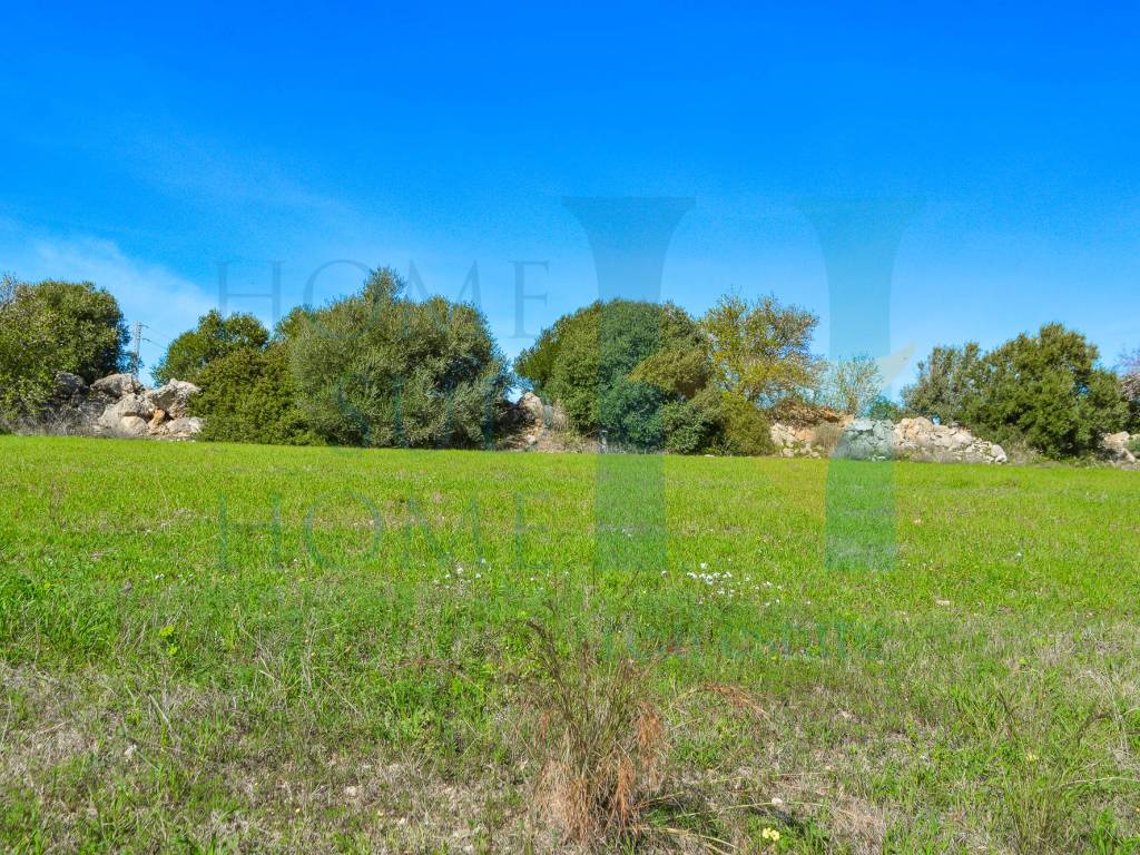 Terreno a Noto in Via Tommaso Fazello, 228 - Foto 4