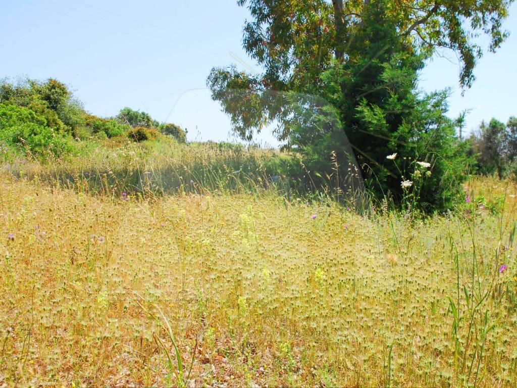 Terreno a Salve in Strada Vicinale Profichi - Foto 2