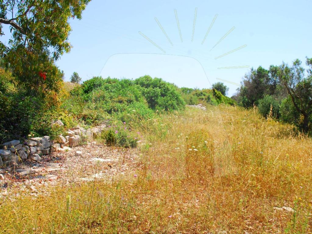 Terreno a Salve in Strada Vicinale Profichi - Foto 3