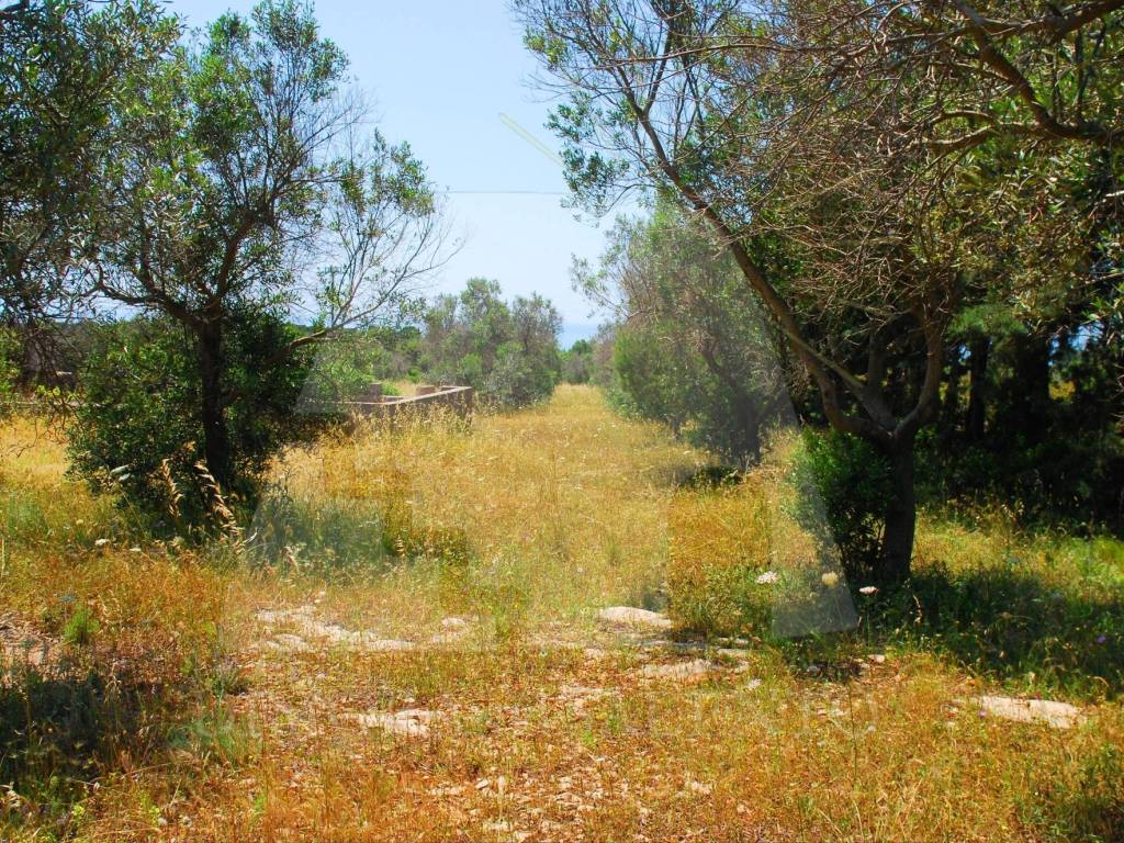 Terreno a Salve in Strada Vicinale Profichi - Foto 4