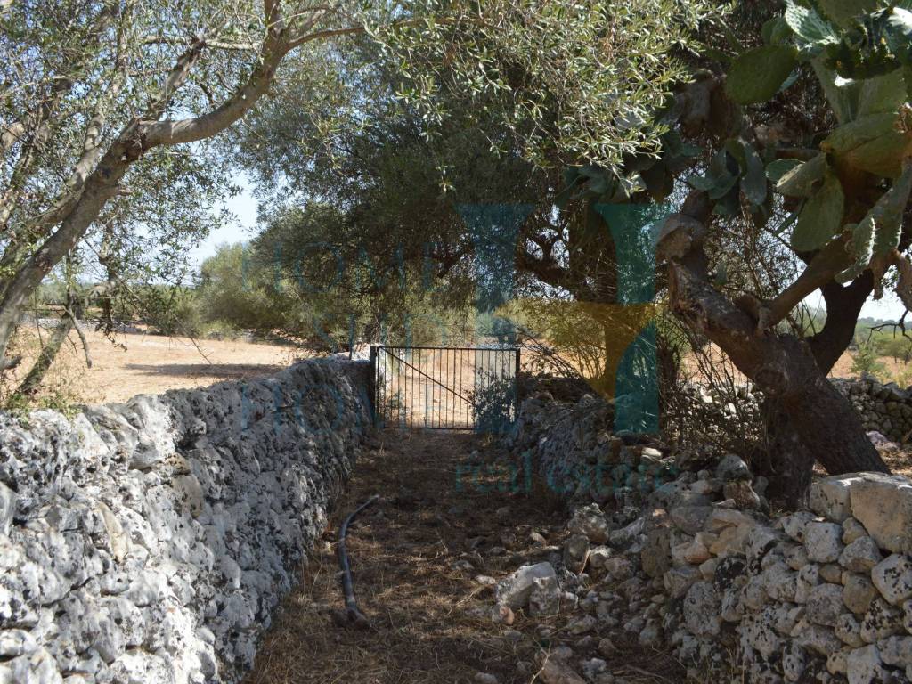 Rustico / casale a Noto in Via Tommaso Fazello - Foto 2