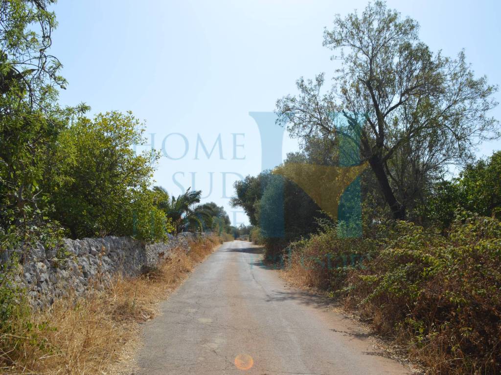 Rustico / casale a Noto in Via Tommaso Fazello - Foto 4