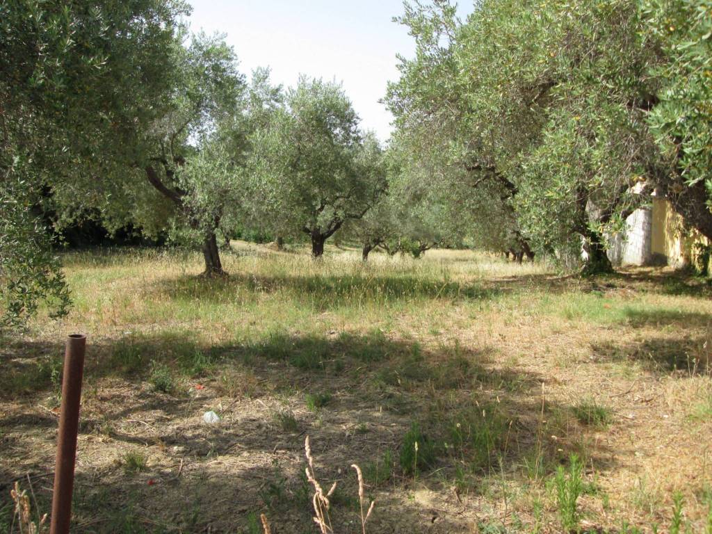 Terreno a Montesilvano - Foto 2