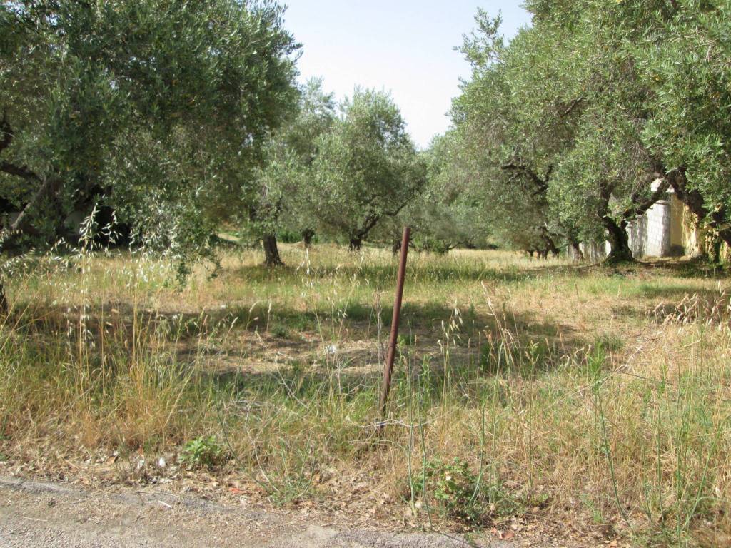 Terreno a Montesilvano - Foto 3