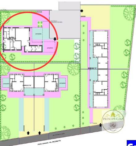 Casa indipendente a Lozzo atestino in via cuccolo - Foto 2