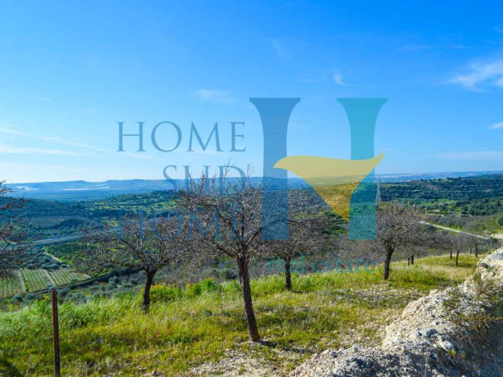 Terreno a Noto - Foto 4