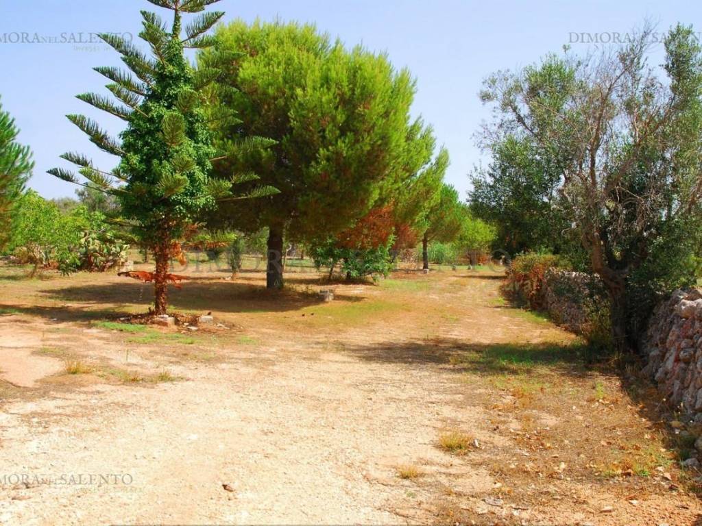 Terreno a Patù in VIA VOLITO II - Foto 5