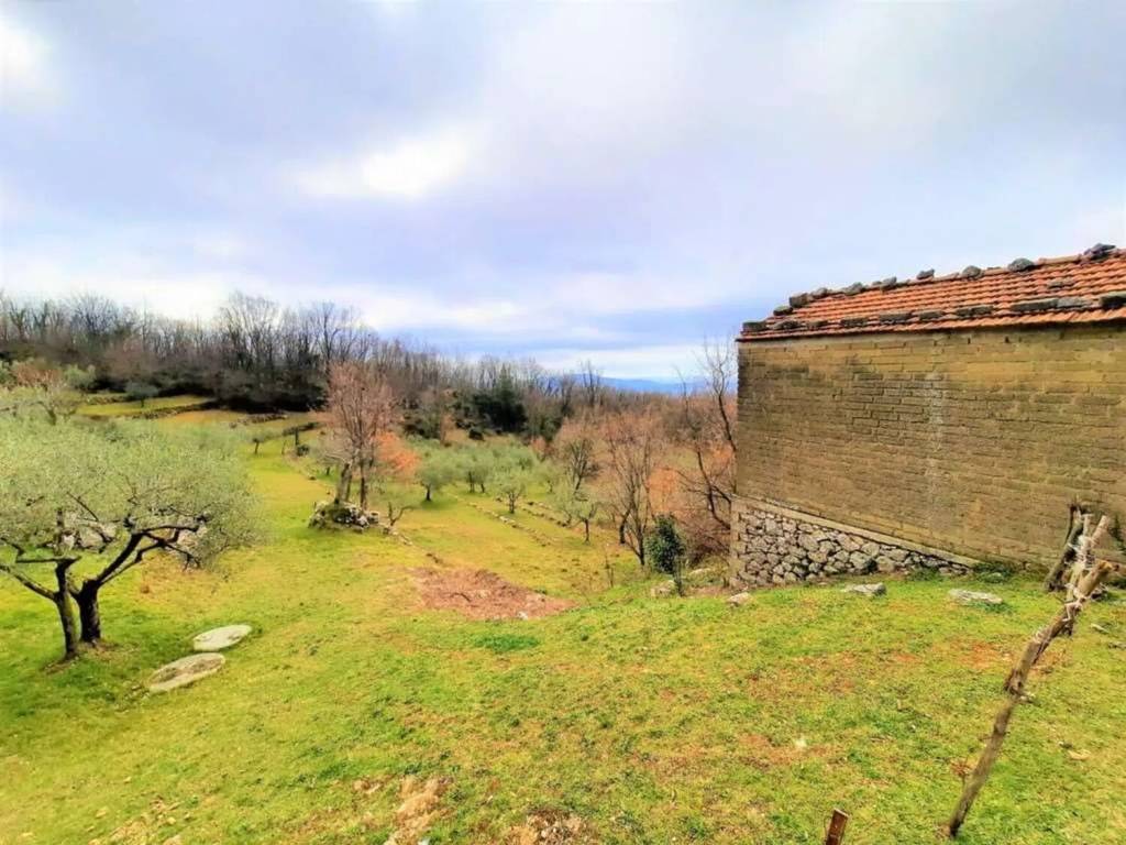 Rustico / casale a Veroli - Foto 4