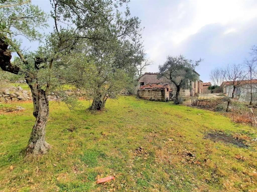 Rustico / casale a Veroli - Foto 3