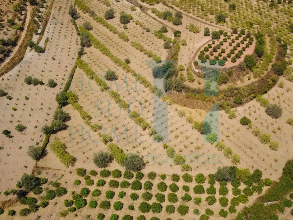 Villa a Noto in Via Tommaso Fazello - Foto 4