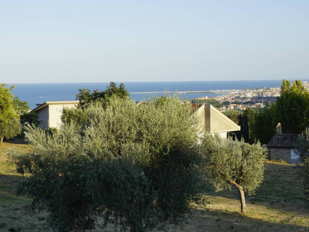 Terreno a Grottammare in Strada Provinciale Cuprense - Foto 5